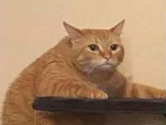 127막내 김여주 모먼트 EP.37