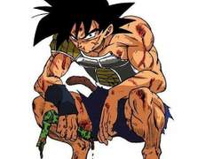 S에서의 버독은 TV스페셜+마이너스&슈퍼 브로리