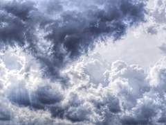 나기 / 복지팀 +1회 수정