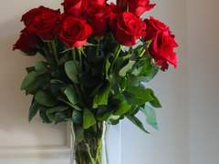 [시긴로키]파란장미 3