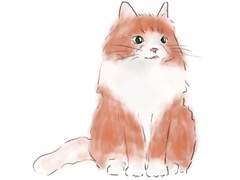 블랙위도우 그림 백업 ~2021년 10월