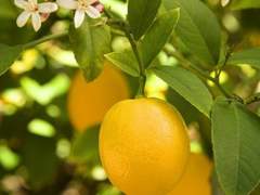 망가진 사랑이라 할지라도.