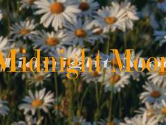 공존과 갈등의 사이(2)