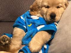 수필가를 꿈꾼다면, 필독/모바일 시대의 수필 쓰기