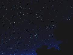 [PLUTO TAROT] 안내