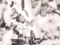 나비효과; 초능력 세계여행 각별