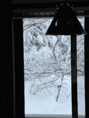 왼팔이 잘리면 오른팔로 살아간다 (완)