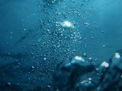 [생사고해] 시스템