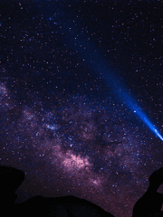 니나 달링턴의 세계구원일지