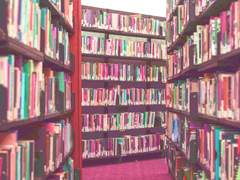 [정하라/1학년/A반]