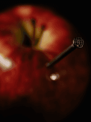 멸망에서 기쁨을 찾는 법