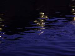 [공개] 윤다정, 24