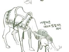 [논커플]징표 줏어야 하는데