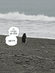 그저 올해를 정리할뿐인 보고서