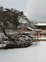 제왕애사 For 아띠님