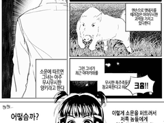 코손 아사에 로그모음