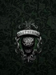 슬리데린의 ㅁㅁ