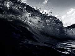 내 혼백 가득 담아 당신에게 전하리다