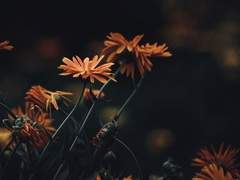 평생 곁에 남아 머물겠다는 마음으로