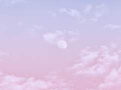 [은혼 / 신스케 드림] 너를 만나러 갈게 02