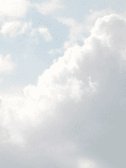 광쇄의 리벌쳐 세팅자료