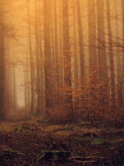 콜 오브 크툴루 세팅자료