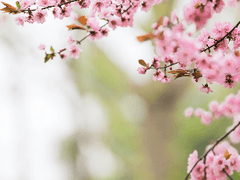 달콤한 나의 집