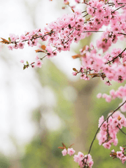 달콤한 나의 집