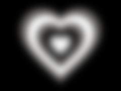 하브의 후기목록