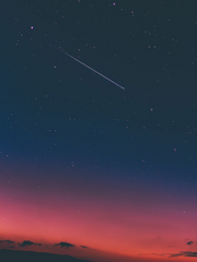 세포신곡 단편소설