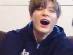 제노랑 뒹굴거리기