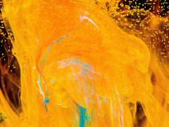 YELLOW / XX / 23 / O.B HEAD