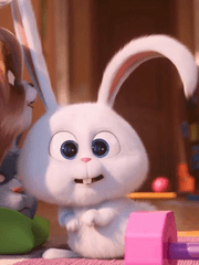 솔로 가수 윤여주