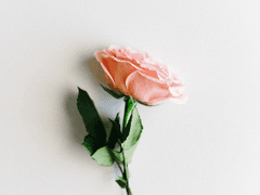 고요 속의 외침