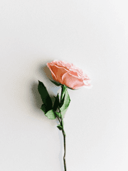 사랑 찾는 시방