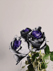 [BL] 제비꽃 (정시온 그 다음이야기)