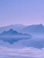 유영하는 사진들