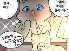 댕냥일기 8화/나도 고양이 만지고 싶어