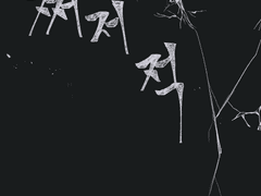 이런 싸움은 원치 않지만..