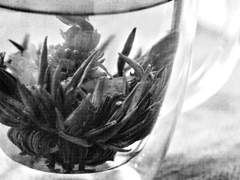 저, 사니와 맞습니다 : Ep. 9(3)