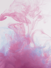 머리에서 발끝까지