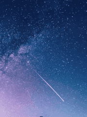 애프터라이프 로판 팬픽