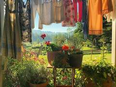 예시 작품 읽기/잡초론