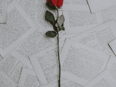 꿈을 잃은 자에게