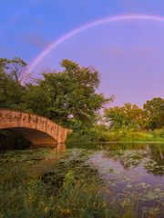 우당탕탕 미스터리 수사반