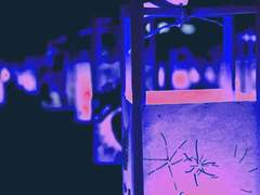 이번에는 무엇을 중요시할까