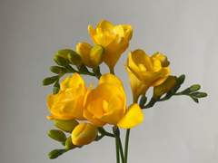 [일곱번째 편지]