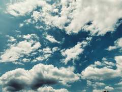 [재준바람] 재도편상공무(在刀片上共舞) / 下 (2) - 完