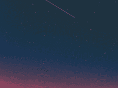 ARK-Artificiality Rearing Kit-