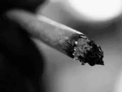 네바다에도 새해는 오는가?